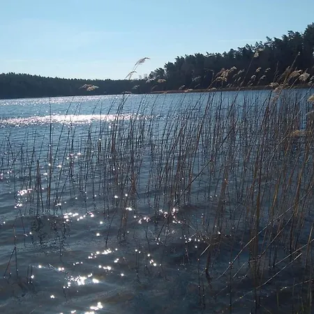 Rysia Polana Piasutno-leg Mazury