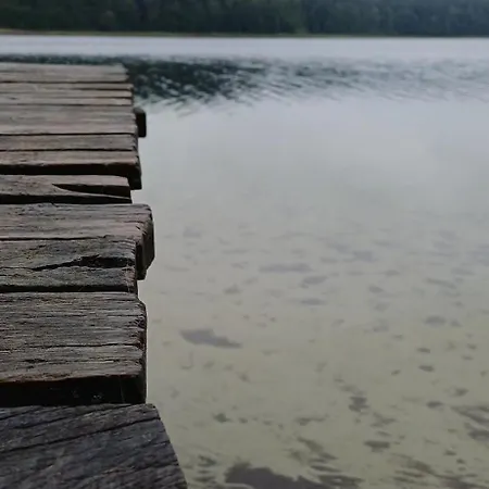 Rysia Polana Piasutno-leg Mazury