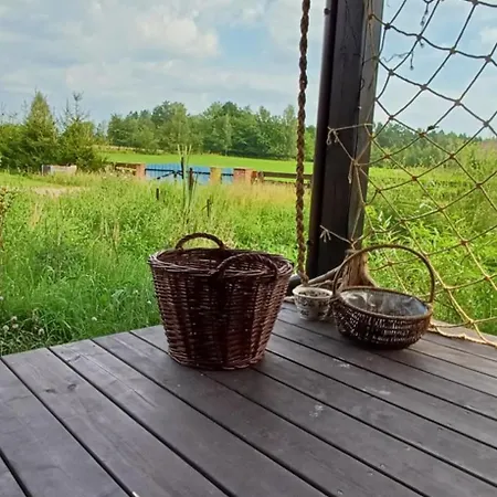 Rysia Polana Piasutno-leg Mazury